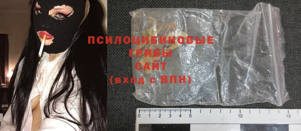 шишки Алексин