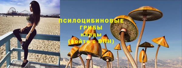 крисы Абдулино
